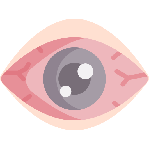 Eye
