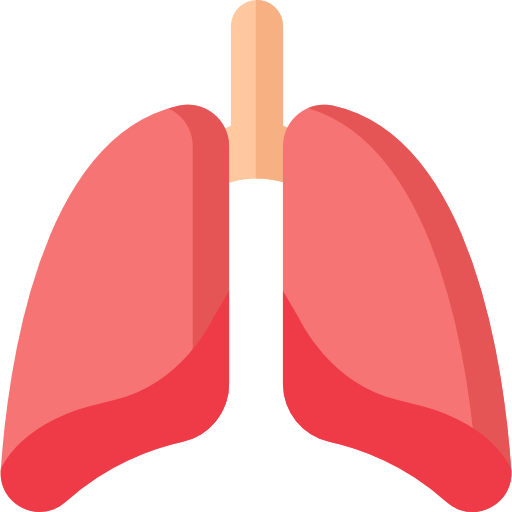 Lungs