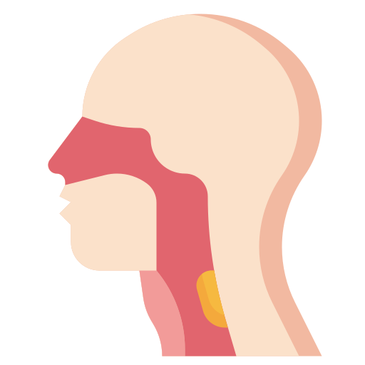 Throat